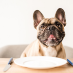 таблица за хранене на малко куче - щастливо куче и чиния